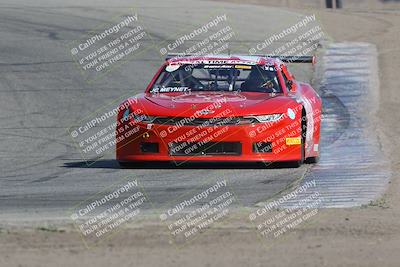 media/Nov-11-2023-GTA Finals Buttonwillow (Sat) [[117180e161]]/Group 1/Cotton Corners/